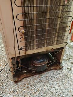 National refrigerator
