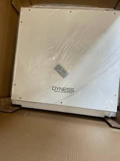 Dyness Dl 5.0c 51.2v/100ah lithium ion battery