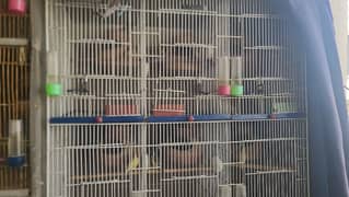 cages