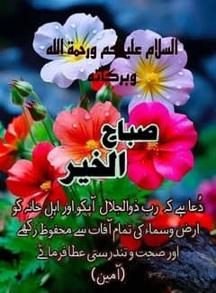 qasai