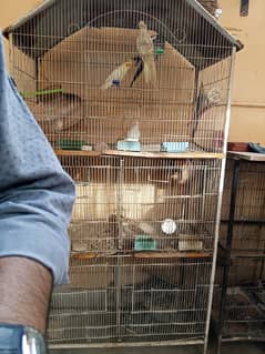 cages
