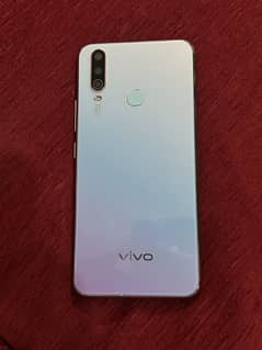 VIVO