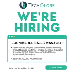 Ecommerce Sales Manager
