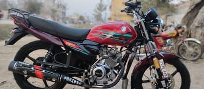 Yamaha YBR 125 Z - DX