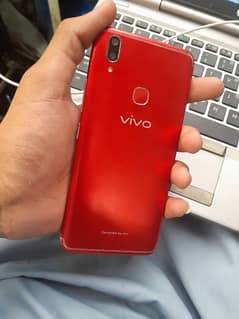 vivo