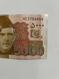 Qaidi