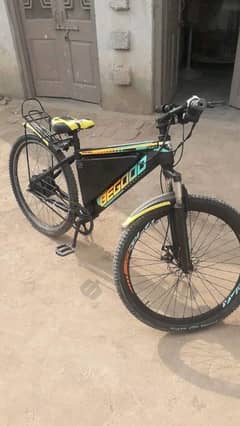 Electric Bicycle