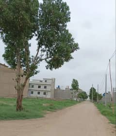 Corner