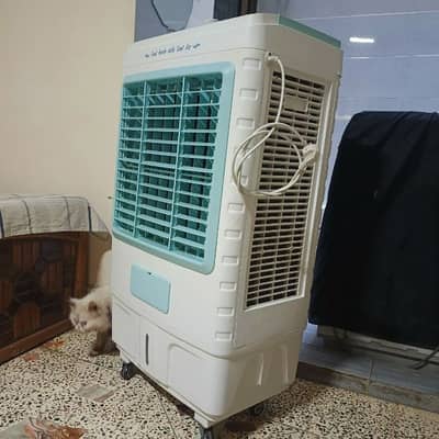 Room cooler Anex