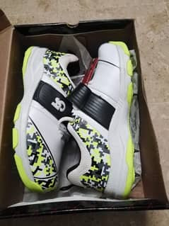 New CA branded shoes