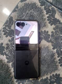Razr