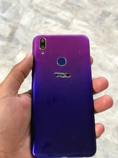 vivo