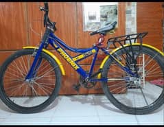 bicycle