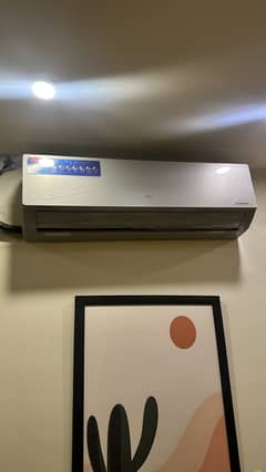 TCL