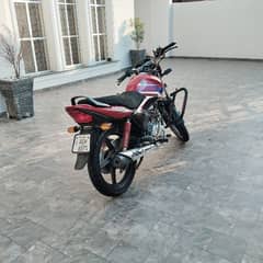 HONDA'S