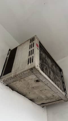 Window