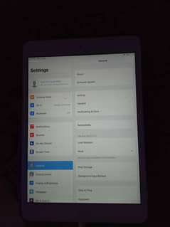 ipadmini2