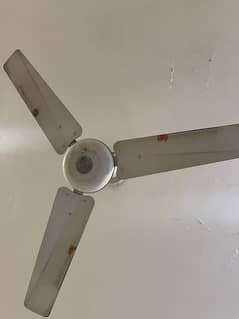 ceiling