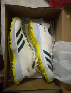 Cricket Spikes