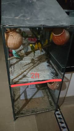 cage with parrots