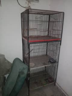 Birds cage