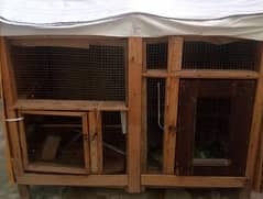 Hen
