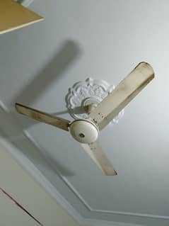 Ceiling Fan with Pure Copper wires