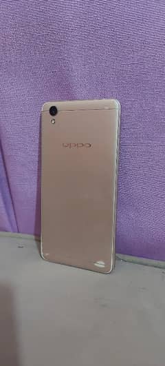 oppo