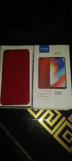 Vivo