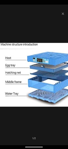 automatic incubator 64 eggs capacity