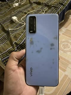 vivo