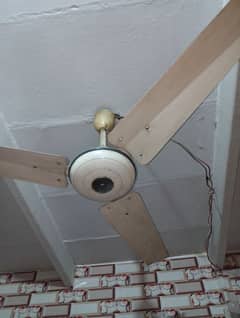 Sofi Brand Ceiling Fan – Used, Excellent Working Condition