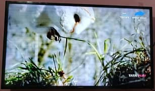 Samsung LED T. V Original Model: J-5000 (Made In Egypt)