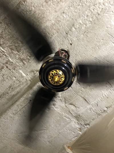 ceiling fan 1year use