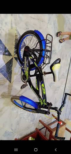 Poineer Cycle