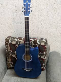 Acoustic Guitar