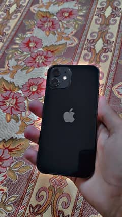 Iphone12 jv