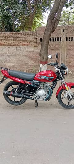 Yamaha