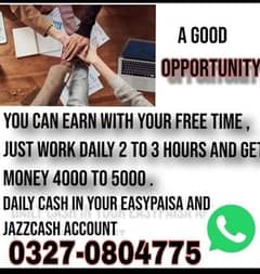 Online job available, Typing/Data Entry/Ad posting etc