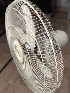 GFC padistal Fan