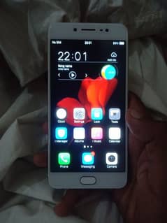 vivo