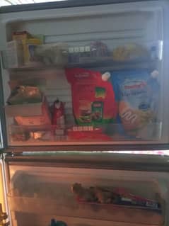 fridge
