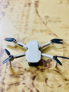 Mavic