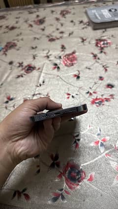 13 Pro max 256Gb PTA