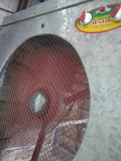 cooler fan