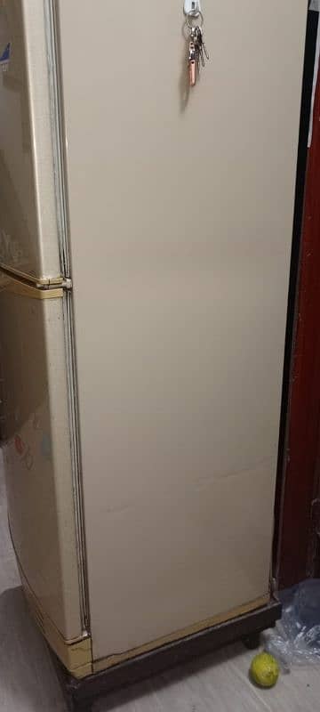 PEL fridge used but in good condition
