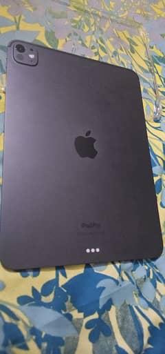 IPAD PRO M4 256 GB