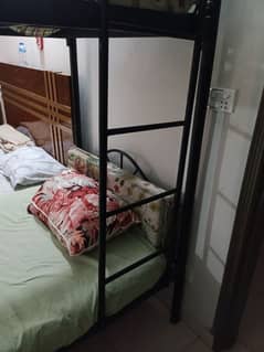 Kids Bunk Bed- Kids Furniture