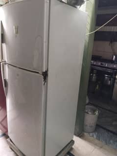 refrigerator