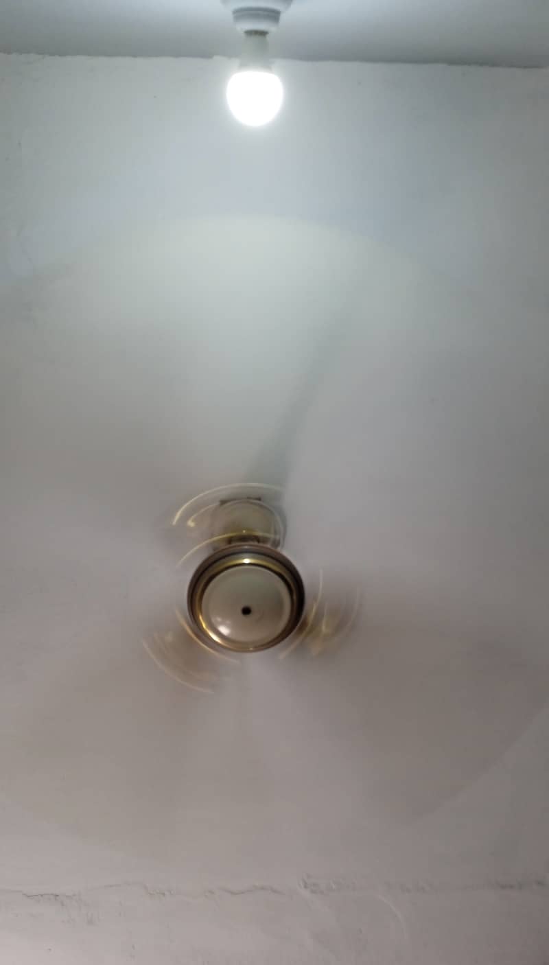 Pak fan low power fan capacitor 70w classic gold 100% copper fresh 0